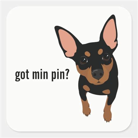 Miniature Pinscher Stickers 100 Satisfaction Guaranteed Zazzle