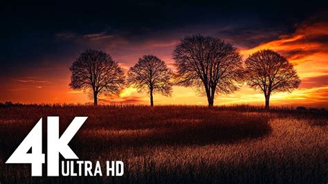 4k Best Compilation Of Beautiful Sunsets And Sky Views Screensaver