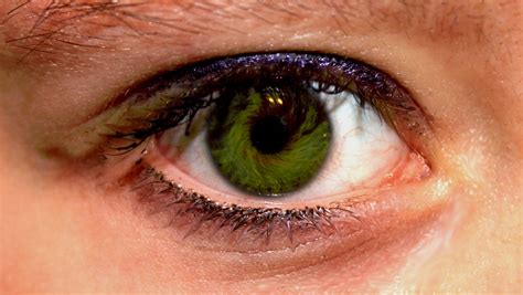 Free Photo Human Eye Art Closeup Eye Free Download Jooinn