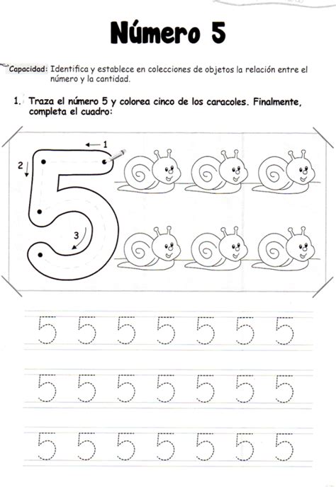 El Número 5 5 Años Material De Aprendizaje Preschool Number