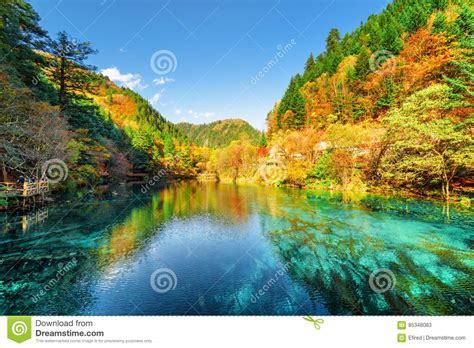 Colorful Autumn Forest Reflected In The Five Flower Lake Stock Image