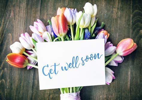 A Guide To The Best Get Well Flowers Bouqs Blog