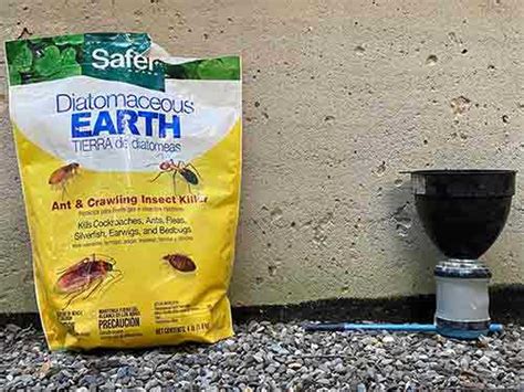 How To Apply Diatomaceous Earth Updated