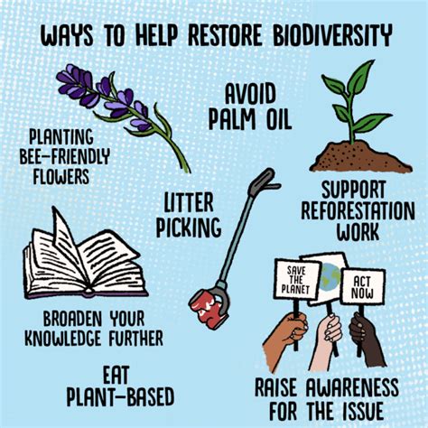The Lowdown What Is Biodiversity Loss And Why Does It Matter