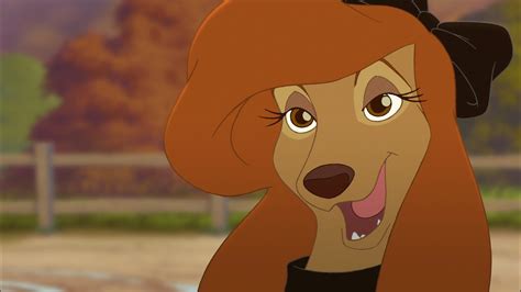 Miss Dixie Dixie From The Fox And The Hound 2 Photo 41051251 Fanpop