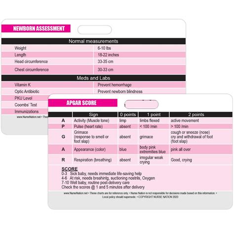 Buy Apgar Score Reference And Newborn Assessment Horizontal Badge Card