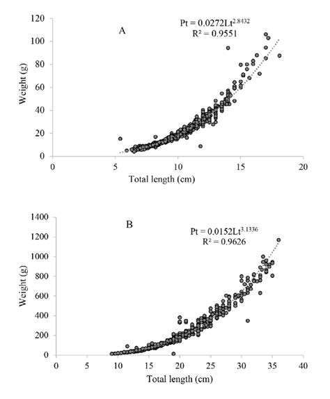 Total Length Weight Relationship Between Fish In Treatment D1 A And