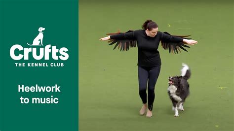 Heelwork To Music Competition Part 3 Crufts 2022 Youtube