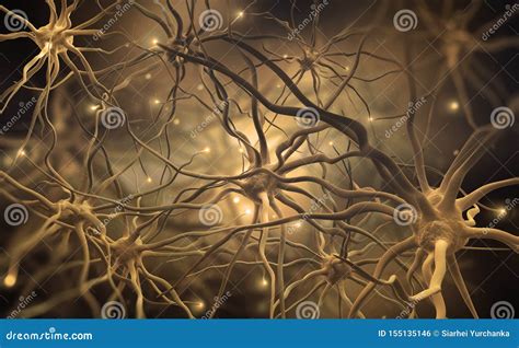 Redes Neuronales Del Cerebro Humano Ejemplo 3d De Los Centros De Nervio Abstractos Stock De