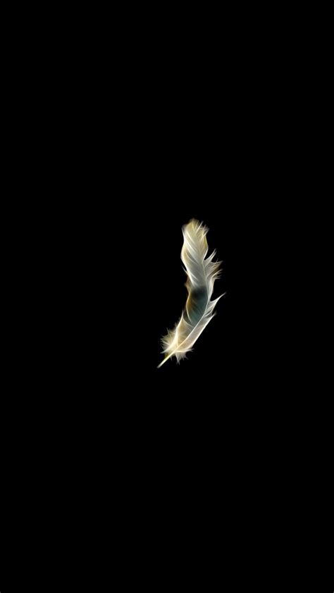 Black Feather Wallpapers Wallpaper Cave