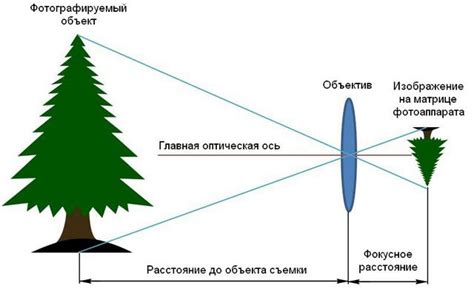Вопреки мнению некоторых людей, фокусное расстояние объектива не является его физическим размером и. Как выбрать камерафон: На что влияют диафрагма, фокусное ...