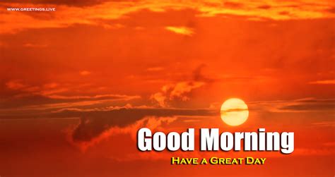 40 Good Morning Sunrise Images Wallpapers For Whatsapp