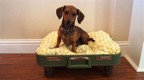 Diy Easy No Sew Dog Bed Idea Diy Dog Bed Dog Bed Old Suitcases