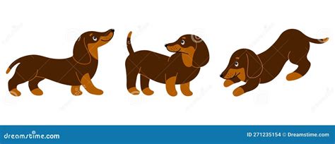 Set Of Cute Purebred Dachshunds In Different Poses Illustration In