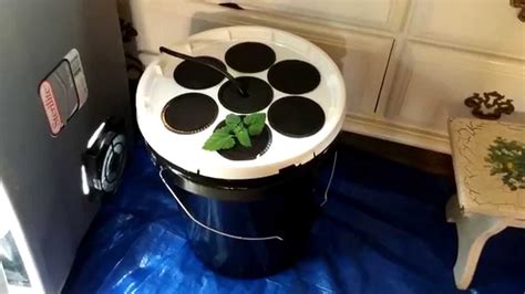 Diy 5 gallon bucket aeroponic cloner. Easiest DIY Aeroponics Cloner Ever! (No PVC) - YouTube