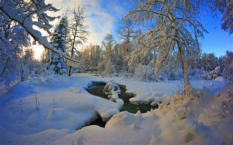 Winter Snow Landscape Nature Wallpapers Hd Desktop