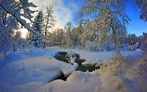 Winter, Snow, Landscape, Nature, Wallpapers, Hd, Desktop