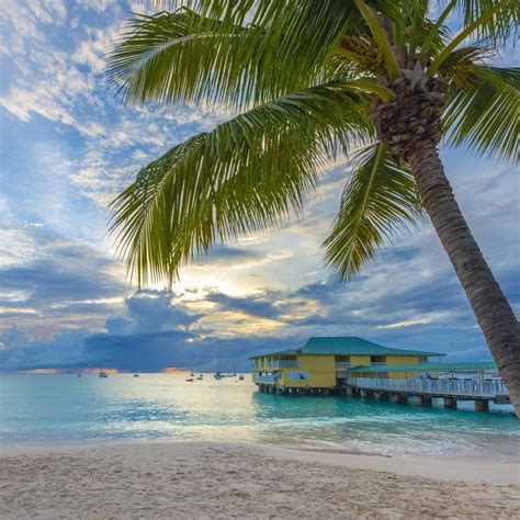 Heres How To Plan A Honeymoon In Barbados Barbados Vacation Popular