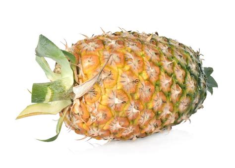 Whole Pineapple And Slice Pineapple Isolated On White Background Stock