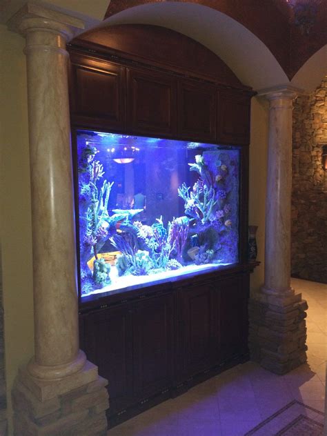 Aquariumartisianstitan Aquatic Exhibits Copy Custom Fish Tanks