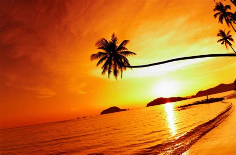 Thailand Beach Sea Sunset Sky Palm Tree Wallpapers Hd Desktop