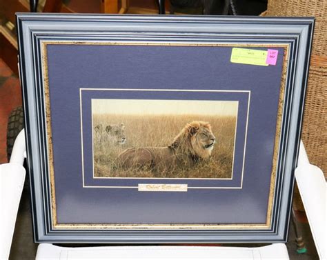 Robert Bateman Lion Picture Print
