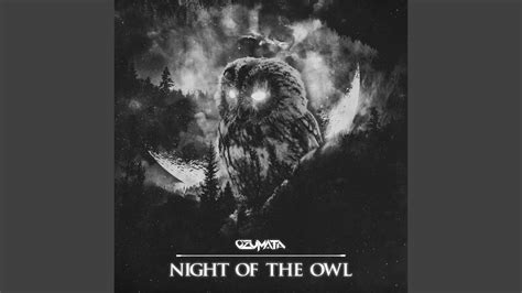 Night Of The Owl Youtube