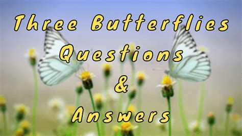 Three Butterflies Questions And Answers Wittychimp