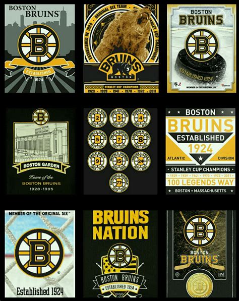 Boston Bruins Logo Boston Garden Stanley Cup Champions Panthers Nhl