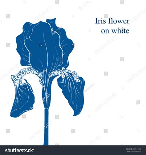 Iris Flower Silhouette Isolated On White Stock Vector Royalty Free