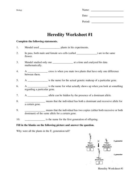 Heredity Worksheet 1 Worksheet For 9th 12th Grade Lesson Planet