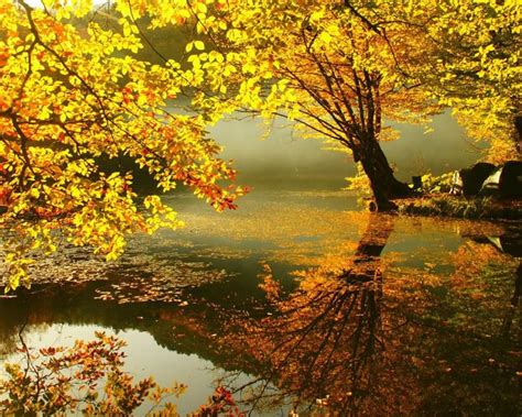 °e♥ct° (с изображениями) | Осенний пейзаж, Осенние картинки, Осенние ...