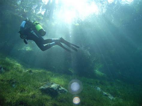 Green Lake In Austria Turns Into A Surreal Underwater Park