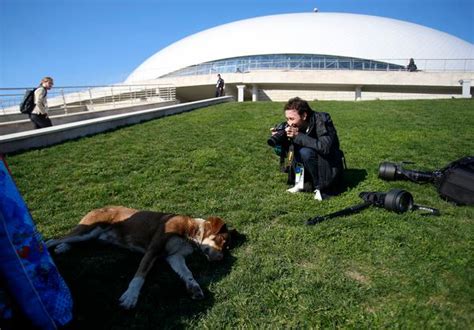 Sochi Dogged By Canine Issues Olympic Athletes Try To Help The