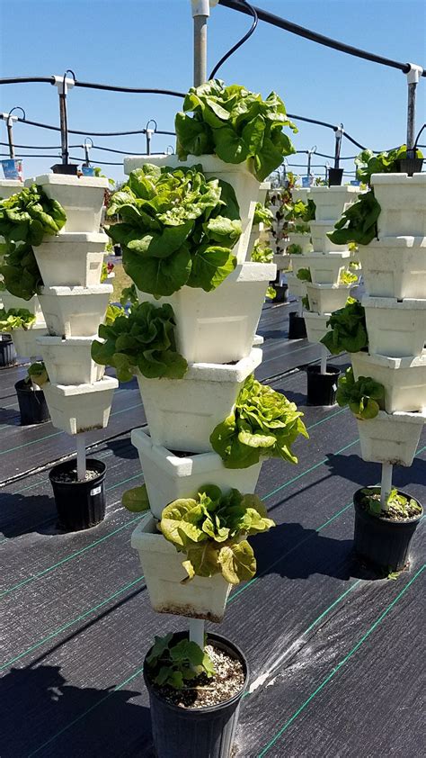 What Is A Hydroponic Tower How To Make Your Own High Tech Gardening