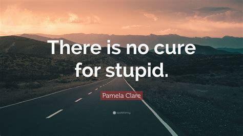 Pamela Clare Quote There Is No Cure For Stupid