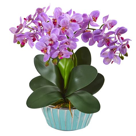 Phalaenopsis Orchid Artificial Arrangement In Designer Turquoise Vase 1931 Nearly Natural