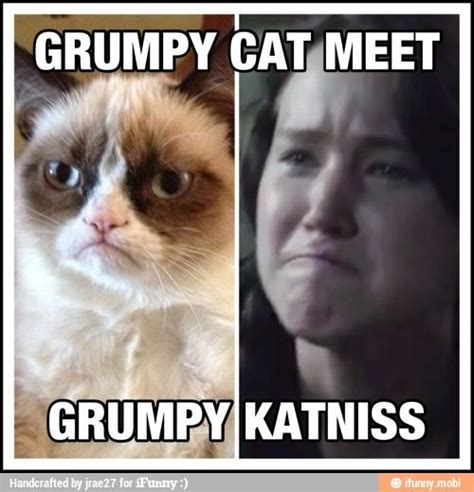 Grumpy Cat Grump Cat Grumpy Kitty Funny Grumpy Cat Memes I Volunteer