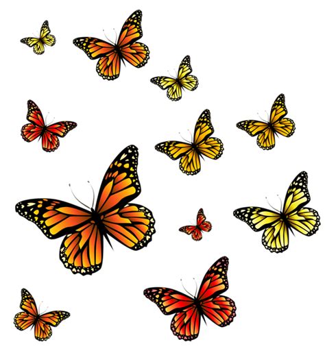 Butterflies Png Image