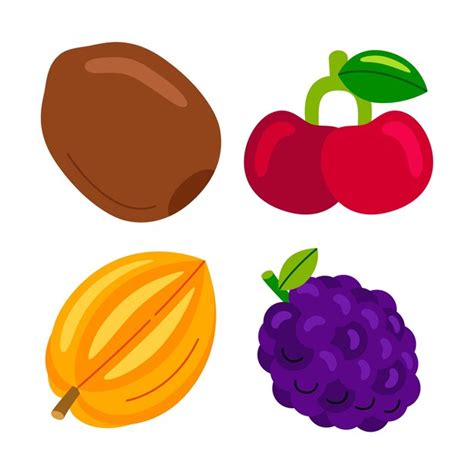 Premium Vector Fruit Objects Vector Illustrations Set