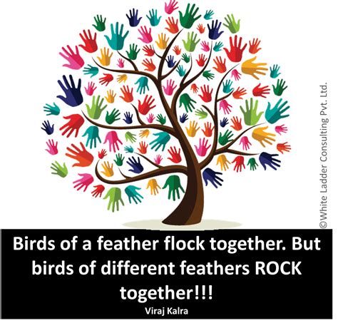 Birds Of A Feather Flock Together But Birds Of Different Feathers Rock