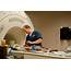 MRI In Pets What To Expect  Bush Veterinary Neurology Service