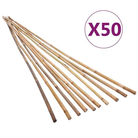 Tyczki Bambusowe Do Ogrodu 50 Szt 150 Cm PERVOI Sklep EMPIK COM