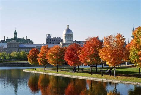 Explore The Wonderful Outdoors Of Montreal - Go See Write