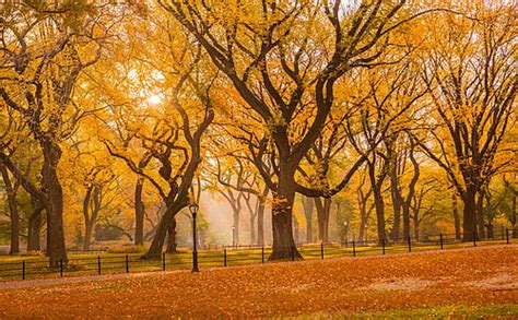 Hd Wallpaper New England Fall Foliage United States Massachusetts