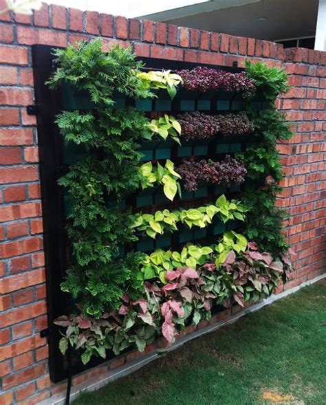 Hydroponic Vertical Garden Malaysia Living Wall Anywhere