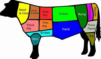 Sirloin Bottom Beef Cuts Wikipedia British Svg