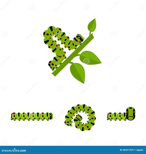 Green Caterpillars Collection Stock Vector Illustration Of Nature