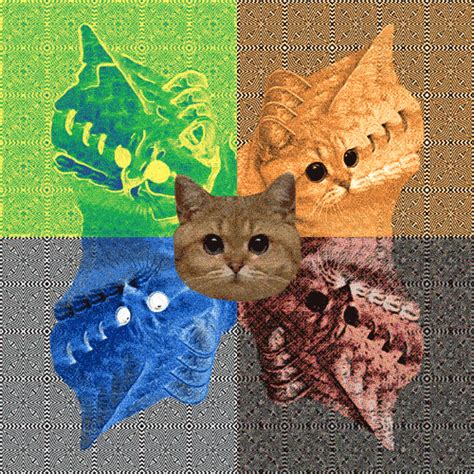 Image 167375 Starecat Grafics Cat Know Your Meme