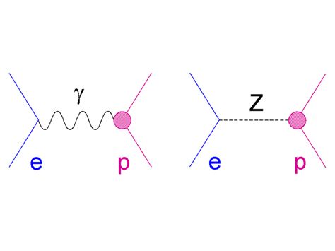 Lowest Order Feynman Diagrams Contributing To Electron Nucleon